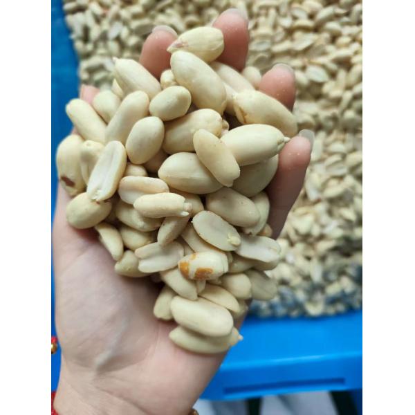 Fully Automatic Feeding and Discharging Air Peanut Blanching Machine