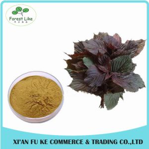China Food Grade Chinese Traditional Herbal Perilla Frutescens Leaf Extract on sale