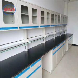 Customizable Lab Furnitures for Modern Labs and Research Institutes
