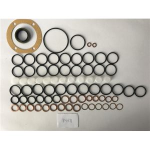 China Diesel Car 801671 Fuel Injection Pump Repair Kit 190440-0390 on sale