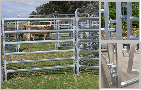 No Sharp Edge Safety Horse Corral Panels , Horse Gate Panels For Outdoor