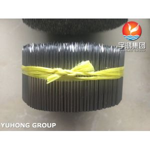 Medical Grade Hypodermic Need Tube Stainless Steel 304L 316L