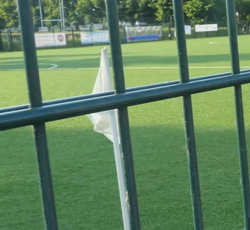 Garden Fencing PVC Galvanized 868 Welded Wire Mesh Panles 8"X2" Hole Opening