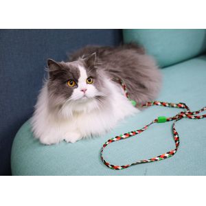 Small Cat Walking Harness And Leash Travel Use