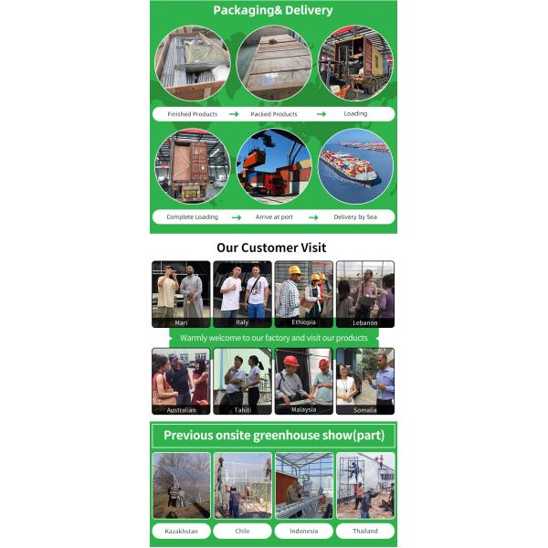 Baolida Sawtooth Greenhouse Cross Roof Agricultural Greenhouse Serre Agricole