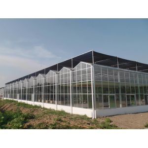 State-of-the-Art Glasshouse Large Glass Covered Water Sprayer for Controlled