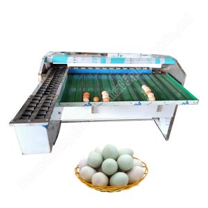 Duck Egg Sorting Machine Egg Weight Grader Egg Grading And Cleaning Machine