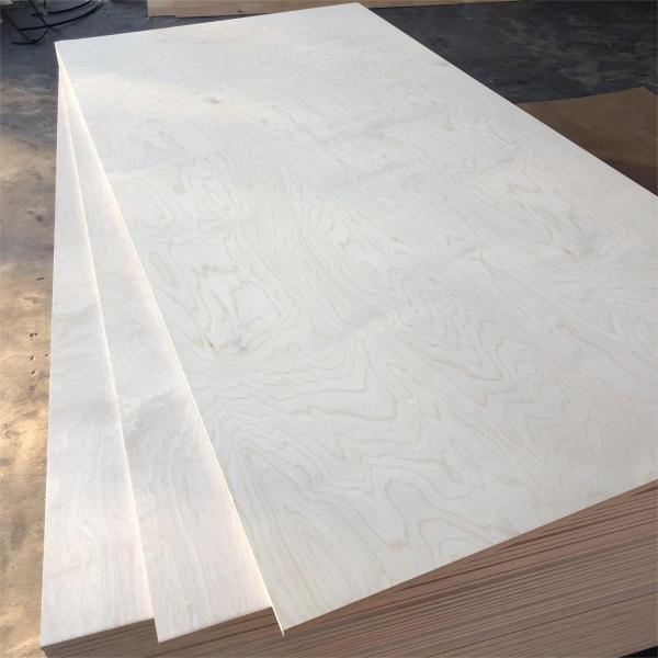 Top Sale Russian Baltic Birch Plywood E0 6mm 9mm 12mm 15mm 18mm 24mm Full Birch 1220*2440mm Plywood Sheet
