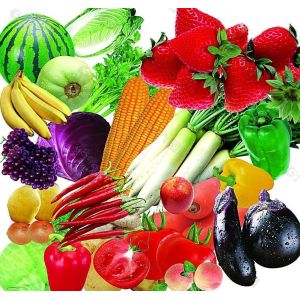 Automatic Stainless Steel Fruit Vegetable Processing Machine Electric Double