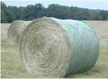 Quality round Hay bale Agricultural Netting for sale