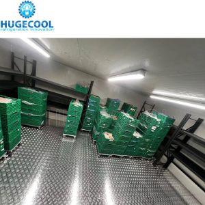 Quality 100mm PU Panel Assembled Structure Walk-in Deep Freezer Cold Room for Seafood for sale