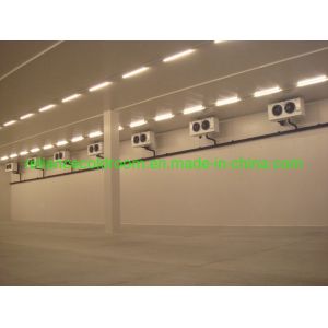 Food Grade Professional Cold Room Cooler/Chiller/Freezer Room with Air Cooler