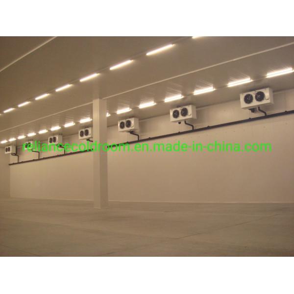Food Grade Professional Cold Room Cooler/Chiller/Freezer Room with Air Cooler