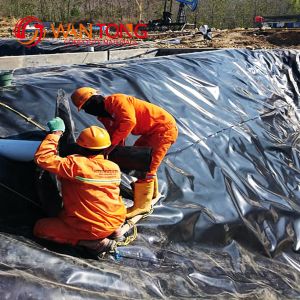 Black HDPE Geomembrane for Fish Dam Pond Liner in Chinese Design Style and 0.1