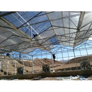Prefab Agricultural Greenhouses with Industrial Polycarbonate Sheets and Cooling