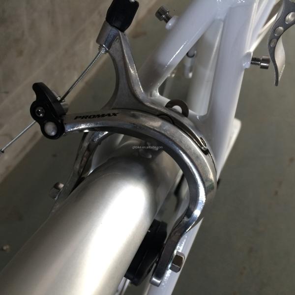 Vintage CR-MO Steel 4130 Lady Women Girl Inner 3 Speeds City Bike for Europe Market