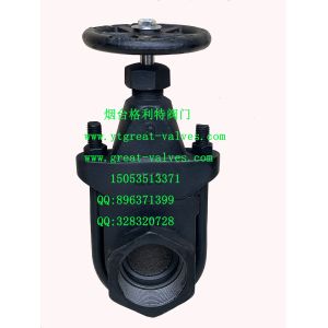 Quality (ANSI) Cast Iron Clip Gate Valve threaded Ends for sale