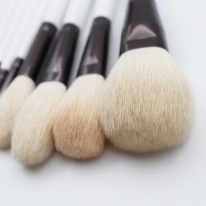 10PCS Multifunctional Goat Hair Makeup Brush Set 19*4cm