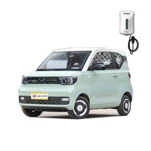2024 Wuling Mini Electric Car Convertible Pure Electric SUV with Lithium Ion
