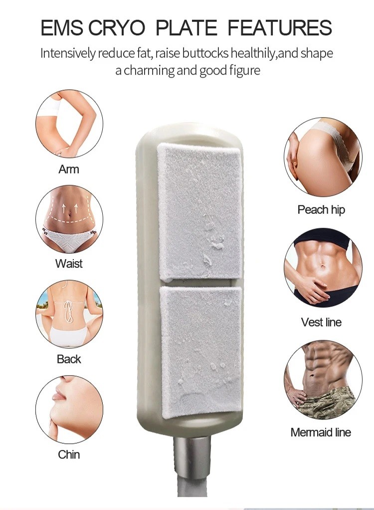 Cryo Slimming Ems Plates Muscle Stimulator Body Sculpting Machine