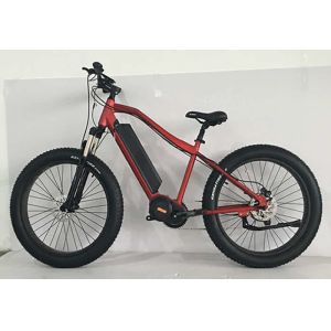 China 1000w Aluminum Fat Tire Custom Electric Bike Disc Brake With Lithium Battery on sale