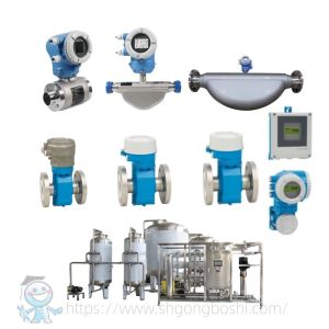 Sanitary Flowmeter E+H Proline Promag P 300 P 500 Endress Hauser Food Grade