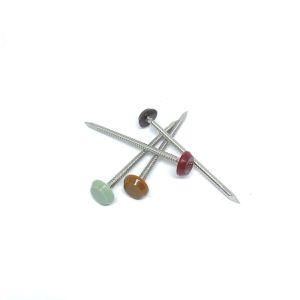 Polished 316 Stainless Steel Ring Shank Plastic Head Nails