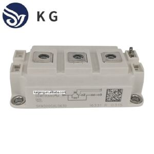 Quality SKM200GB173D for sale