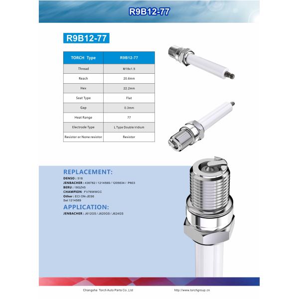 436782 R9B12-77 Torch Spark Plugs For GS 620 Generator