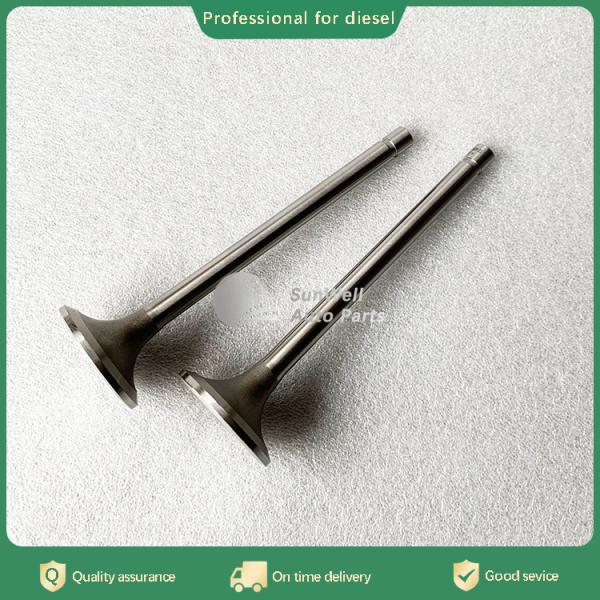 Hot sale Diesel Spare Part for Engine Exhaust Valve 3088389 3022602 3034827 3803528