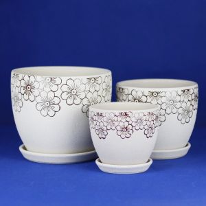 Versatile Ceramic Pots For Business Needs Stylish And Functional