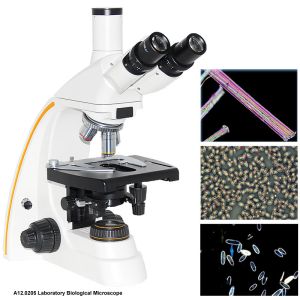 1000x Compound Optical Microscope A12.0205 Trinocular Led Light Source