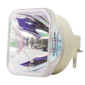 Bare Lamp ELPLP75 Epson Projector Bulbs With Housing