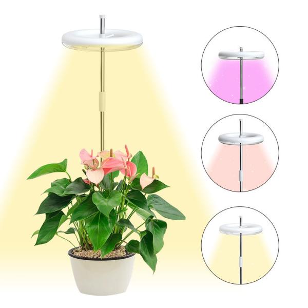 Buy 9W Height Adjustable LED Growth Lamp 4000k For Indoor Desk plant at wholesale prices
