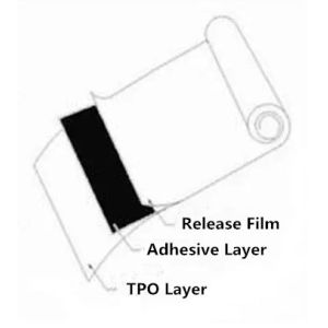 High Subsequent Adhesion HDPE Silicone Coated Release Liner