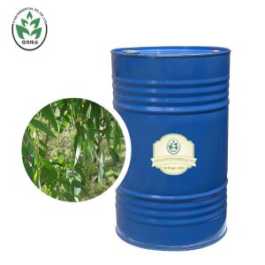 Globulus Aromatherapy Essential Oils