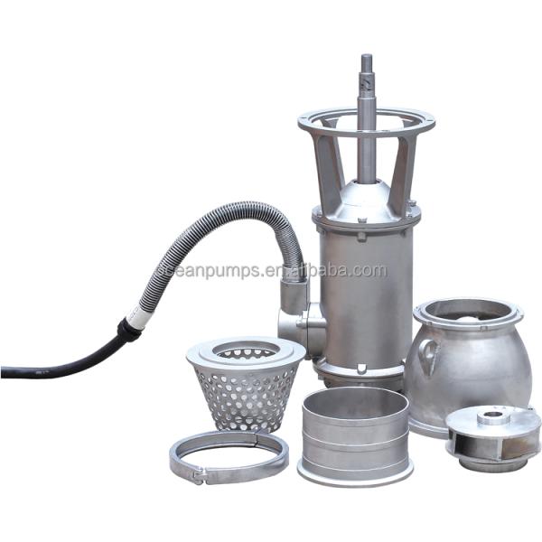 8 Inch Water Pump Portable Stainless Steel Submersible Water Pump