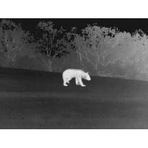 12um Night Vision Handheld Thermal Imager Monocular For Hunting