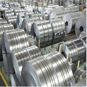 19431-0015 (Cut Strip)