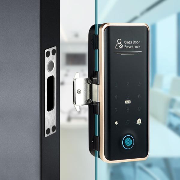 Villa Face Id Smart Lock ROHS Automatic Door Lock For Apartment