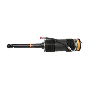 China Mercedes-Benz 221 S600 Rear Right Hydraulic Shock Absorber 2213200313 for Replacement on sale
