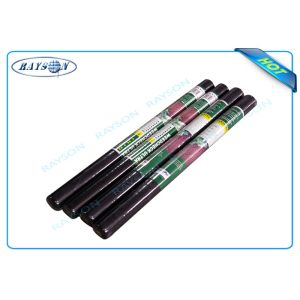 Polypropylene Non Woven FabricTnt  Elongation Spunbond In Roll