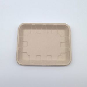 Compostable Biodegradable Bagasse Tableware Disposable Rectangular Shape