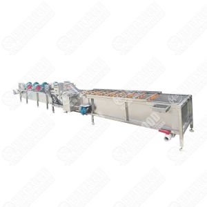 Farm Agriculture Industrial Food Drying Treatment Line Automatic Dehydrating