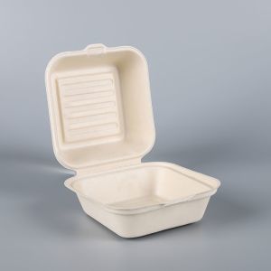 disposable Bio take away compostable clamshell food container packaging lunch