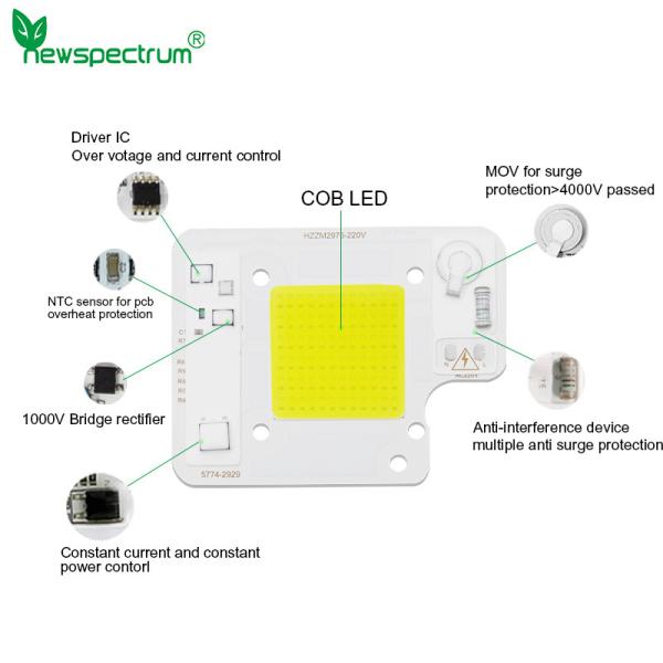 Cold White Led Cob 50w Reliable Consistent Flip Chip Cob Led