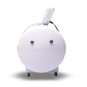 Hyperbaric Oxygen Therapy Chambers For Physiotherapy Rehabilitation