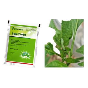 Microbial Insecticide Bio Bacillus Thuringiensis SeNPV Nuclear Polyhedrosis