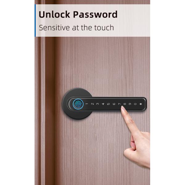 Wifi TTlock Smart Handle Door Lock Zinc Alloy For Outside Gate