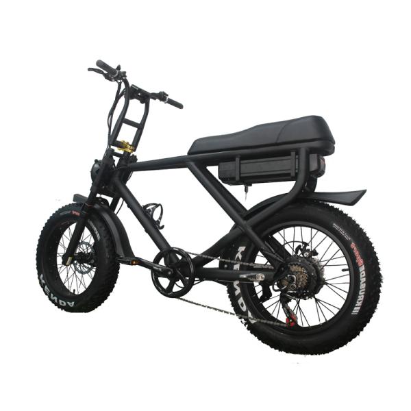 Disc Brake Electric Bike 2022 Version Snow Beach Fast Speed Customized E Bicycle 2 Seats